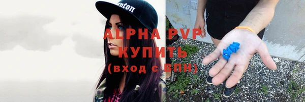 круглые Белокуриха