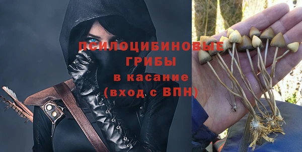 молекула духа Белоозёрский