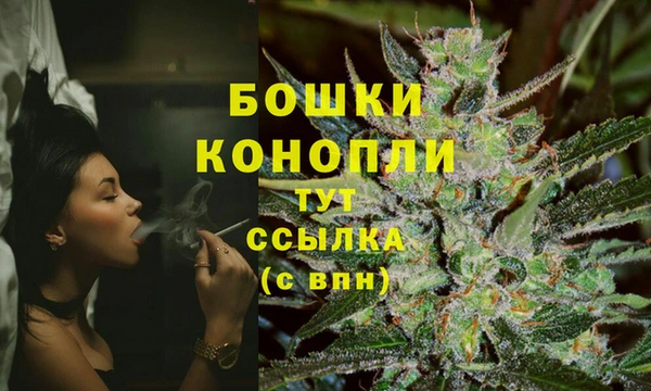 молекула духа Белоозёрский