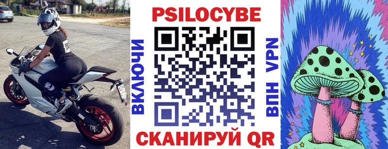 купить Гай Псилоцибиновые грибы Magic Shrooms